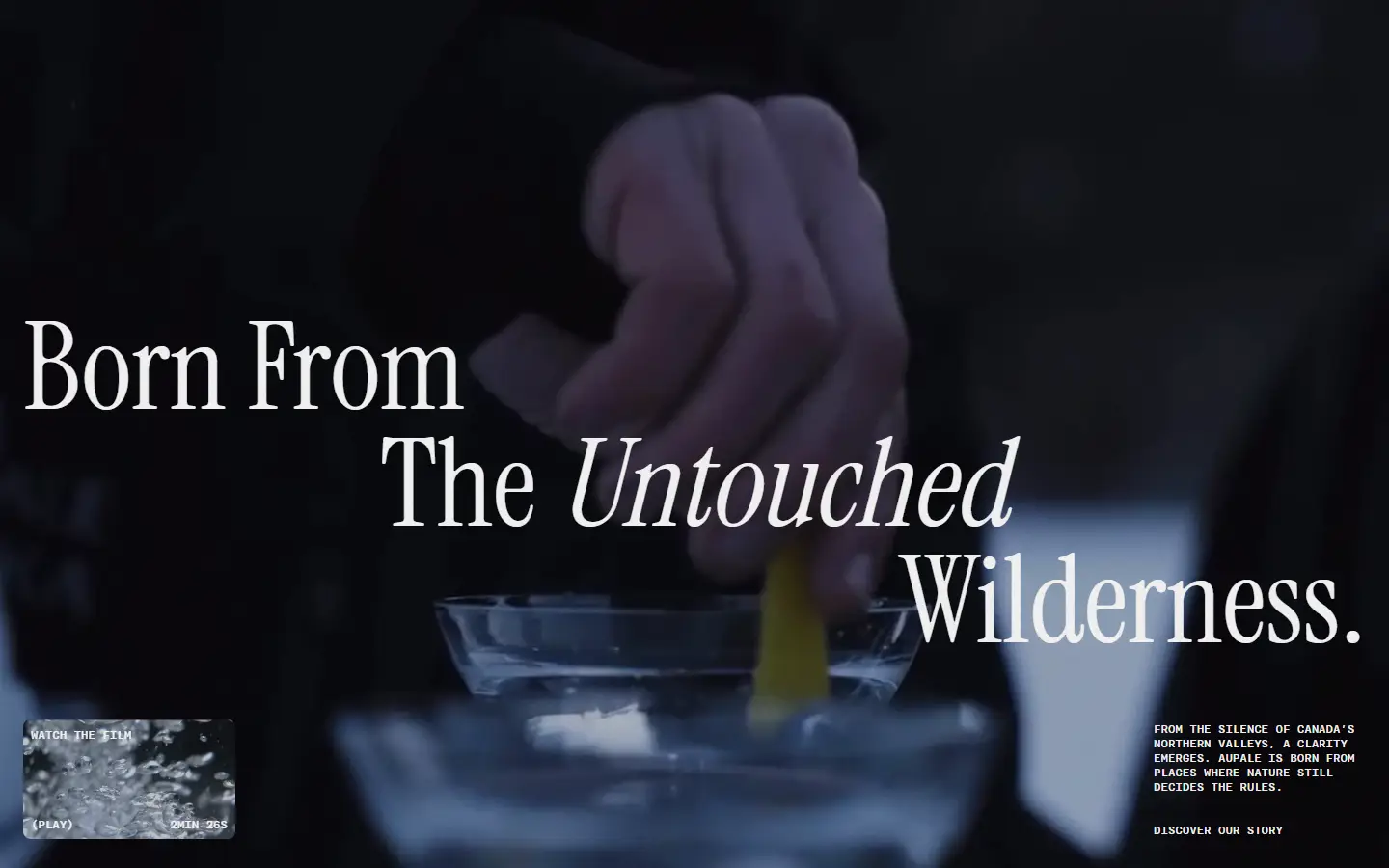 Aupale Vodka homepage
