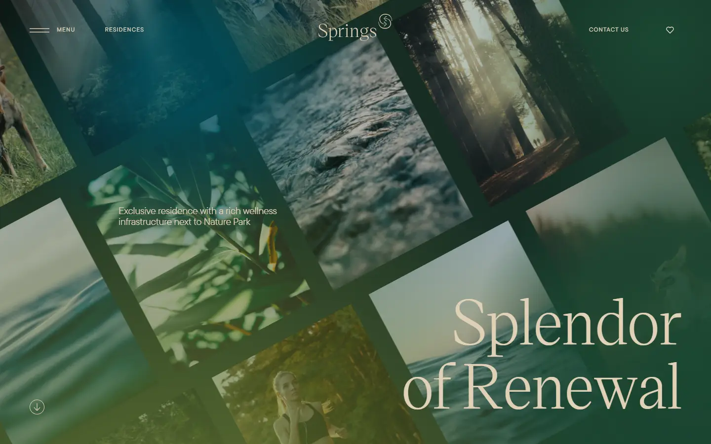 Springs homepage
